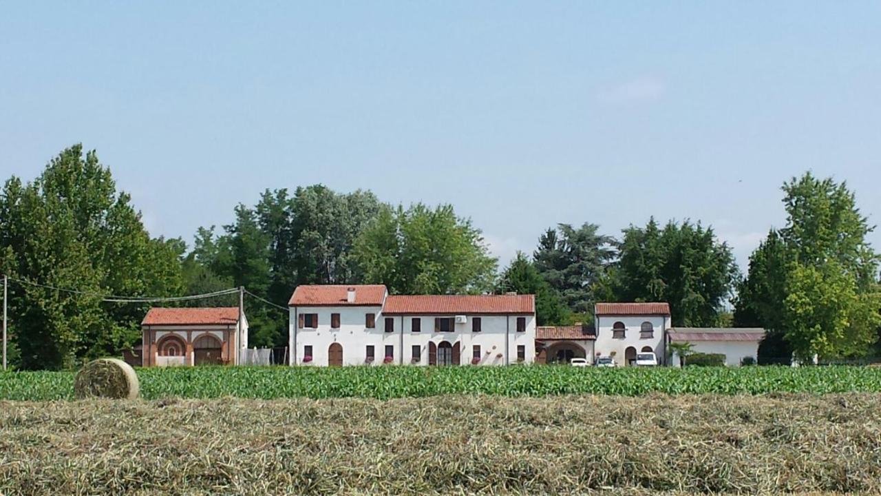La Casa Delle Rondini Bed and Breakfast Roncoferraro Exteriör bild